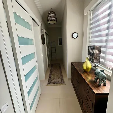 Serendipity By Spinola