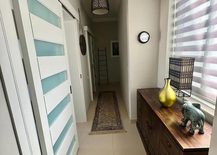 Serendipity By Spinola